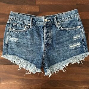 Free People We The Free Denim Shorts
